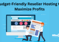 Budget-Friendly Reseller Hosting to Maximize Profits