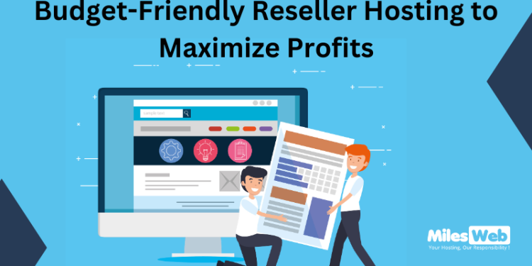 Budget-Friendly Reseller Hosting to Maximize Profits